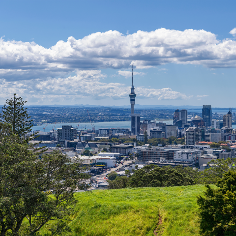 Auckland view