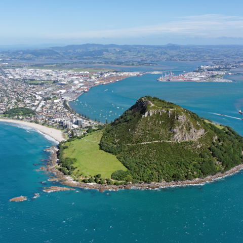 Tauranga View