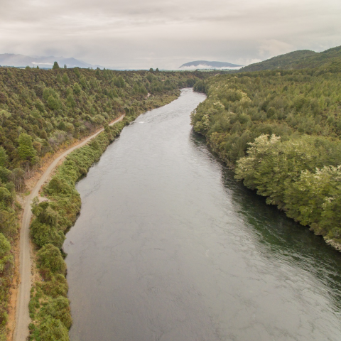 Waiau river restoration Header v2