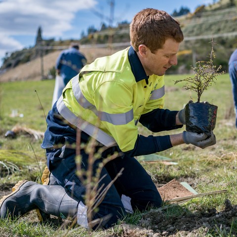 A man planting a tree - Forever Forests