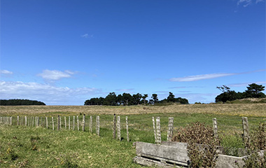 Waiinu site