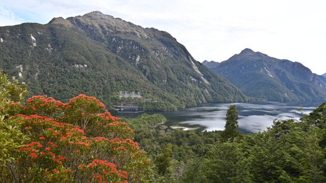 Manapouri 1